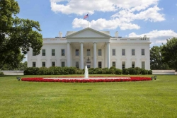 SW0049