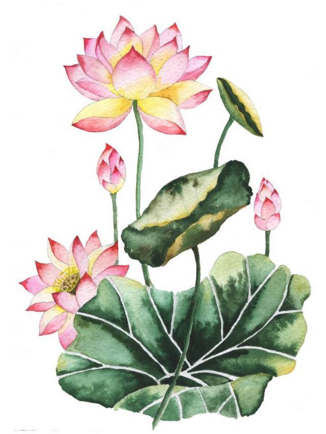 Tranh dán tường mã A-060