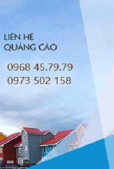 Hệ thống chi nhánh của công ty
